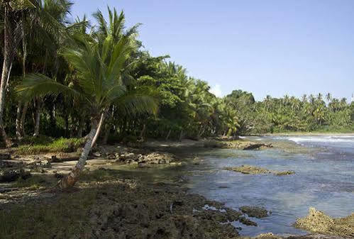 Villas del Caribe Puerto Viejo de Talamanca Exterior foto