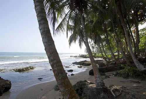 Villas del Caribe Puerto Viejo de Talamanca Exterior foto